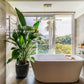 Hillside Haven 半山雅苑