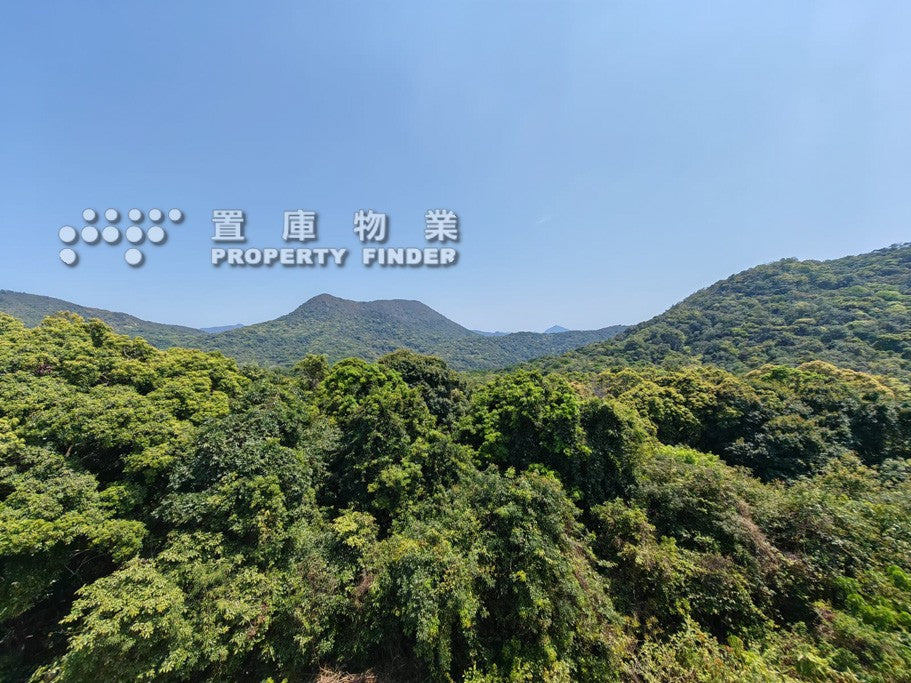 Wong Mo Ying 黃毛應
