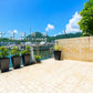 Marina Cove 匡湖居