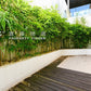 Silverstrand 銀線灣